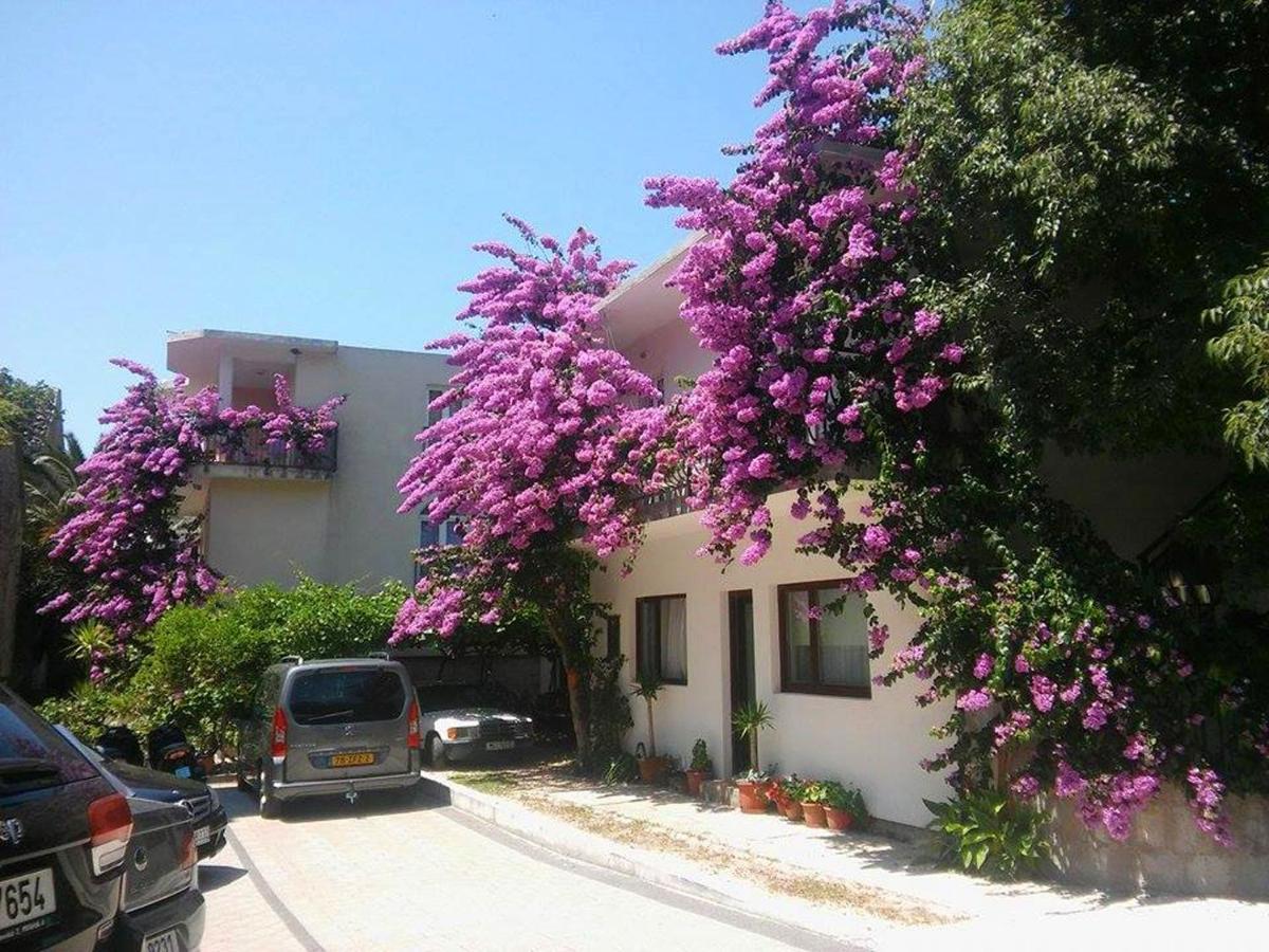 Apartments Martin Drvenik  Exterior photo